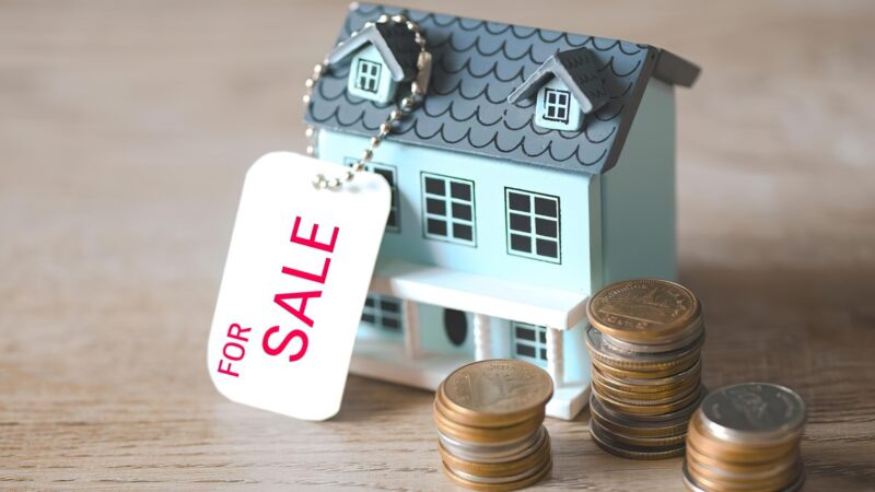 What Does an MLS Listing in Arizona Cost?